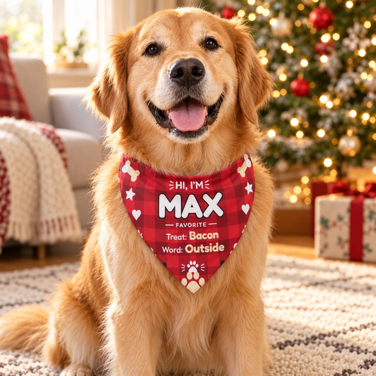 Golden retriever wearing a personalized dog bandana in red buffalo plaid with HI, I'M MAX, favorite treat Bacon and word Outside, by a Christmas tree: a custom dog bandana with name and a cozy dog lover gift.